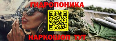 скорость Будённовск
