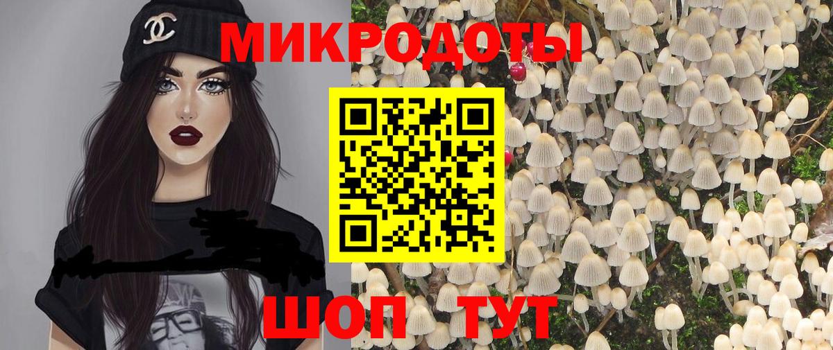 Псилоцибиновые грибы мицелий Черемхово