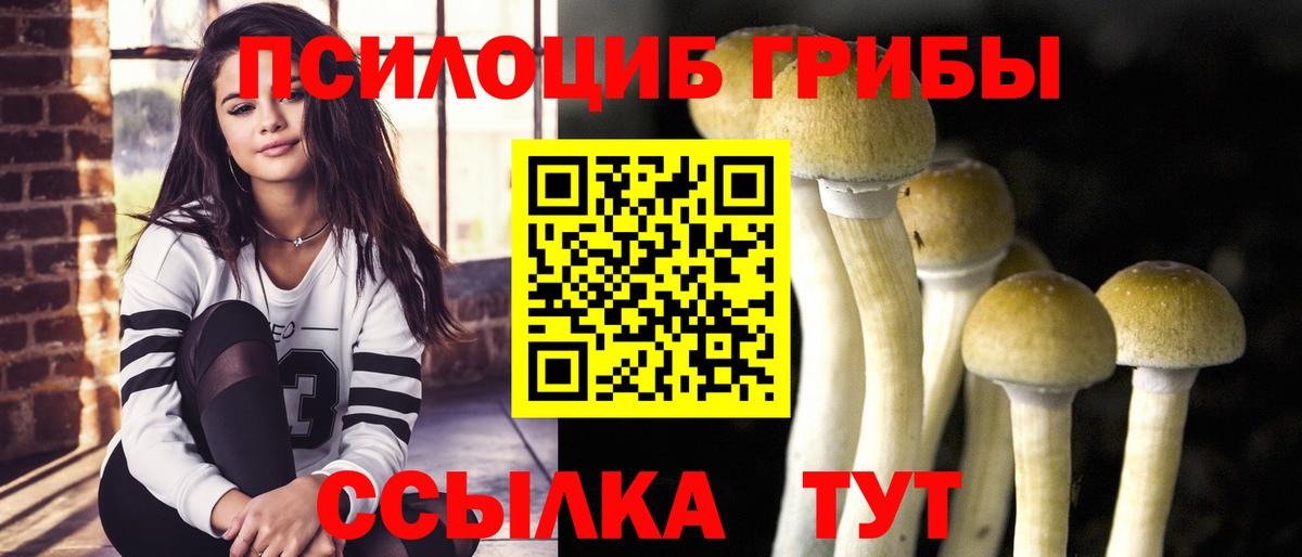 Галлюциногенные грибы Psilocybe  Вход с VPN  Черемхово 